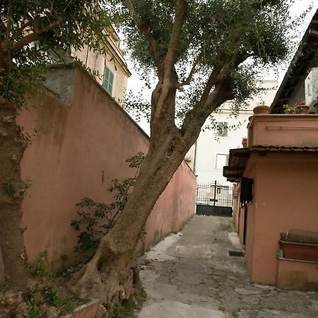 Vaticanhouse โรม ห้อง รูปภาพ